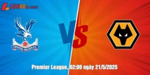 nhận định crystal palace vs wolverhampton ngày 21/5/2025