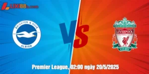 Nhận Định Soi Kèo Premier League Brighton vs Liverpool Ngày 20/5/2025
