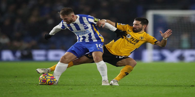 Wolves vs Brighton - thống kê phong độ ra sân vừa qua