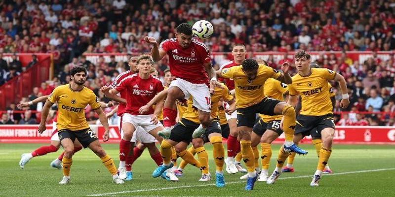 Wolves vs Nottingham Forest - Thống kê thành tích ra sân